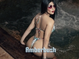 Amberbush
