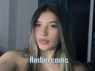 Ambercams