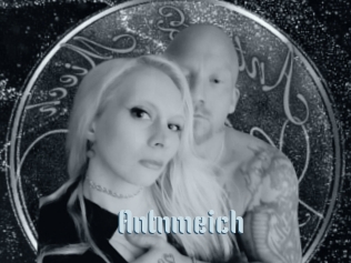 Antnmeich