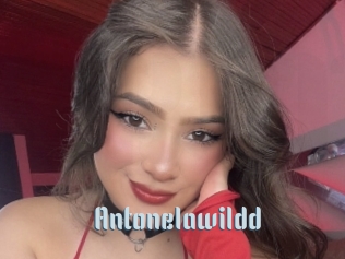 Antonelawildd
