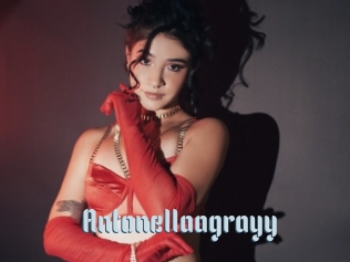 Antonellaagrayy