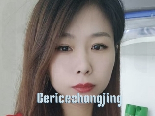Bericezhangjing