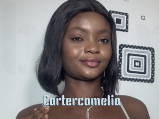 Cartercamelia