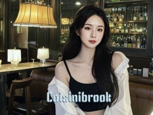 Coisinibrook