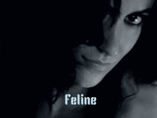 Feline