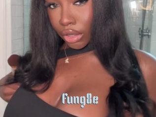 Fung8e