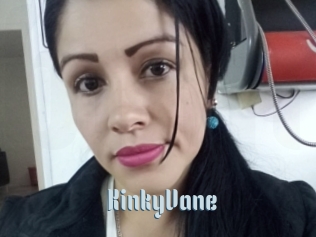 KinkyVane