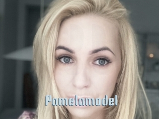 Pamelamodel