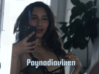 Paynadiavixen