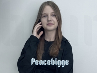 Peacebigge