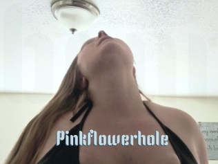 Pinkflowerhole
