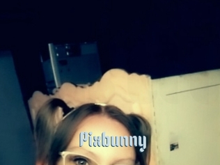Pixbunny