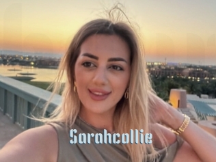Sarahcollie