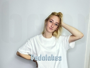 Vedalakes