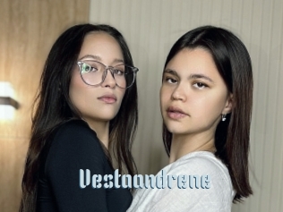 Vestaandrene