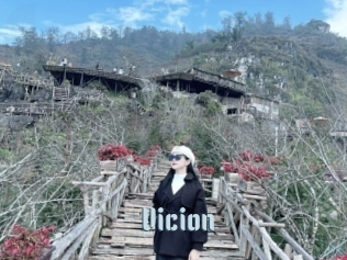 Vicion