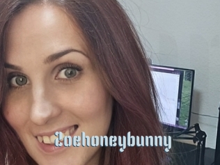 Zoehoneybunny